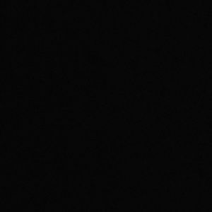 Meet your Posher, Mya